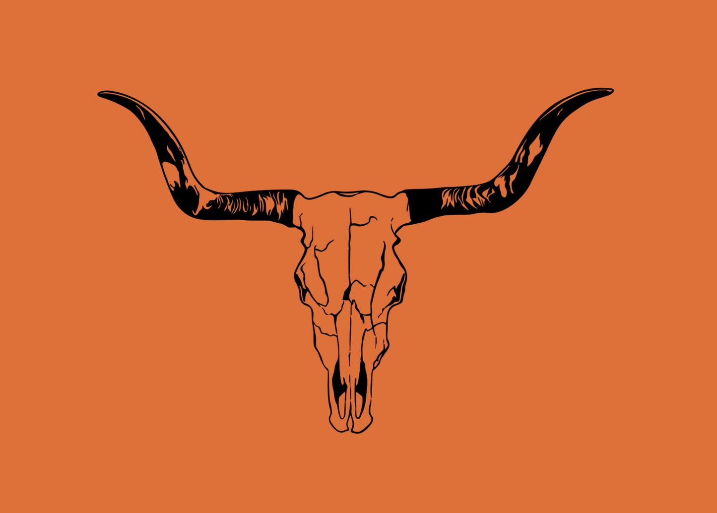 Bull Skull