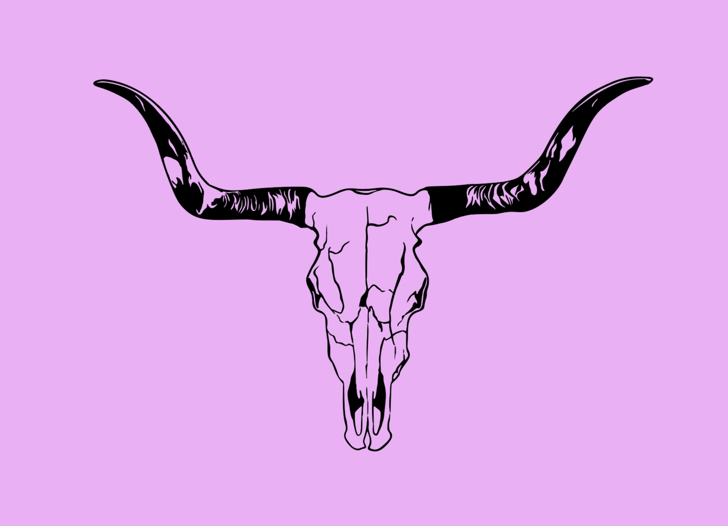 Bull Skull