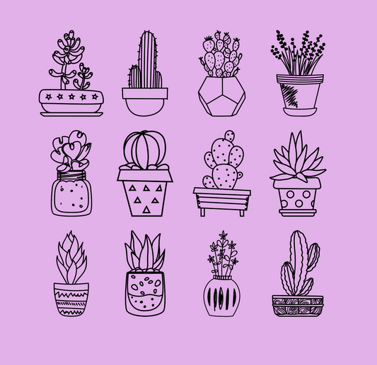 Cactus Garden