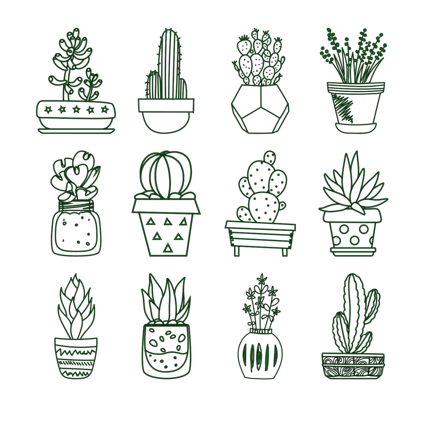 Cactus Garden