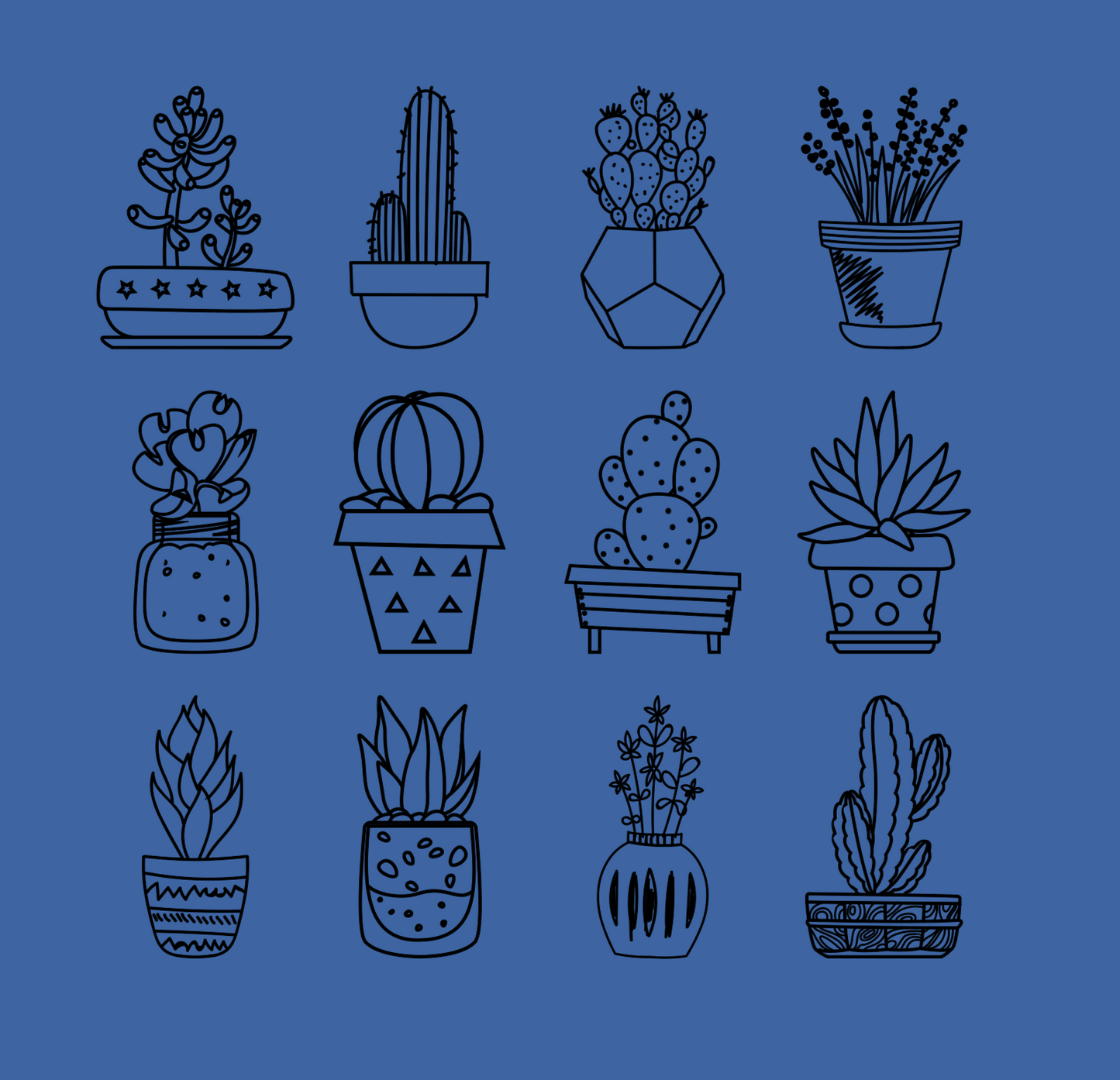 Cactus Garden